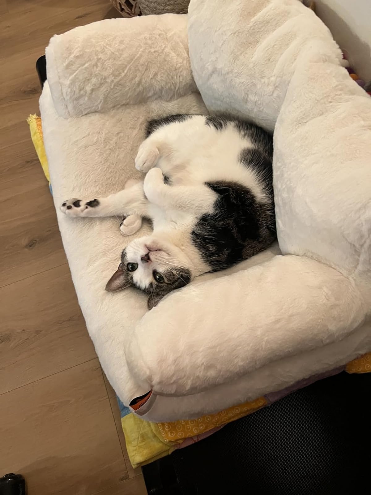 🗣️ <strong>Isabel G. – Manizales</strong>