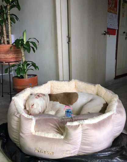🐶Cama Personalizada